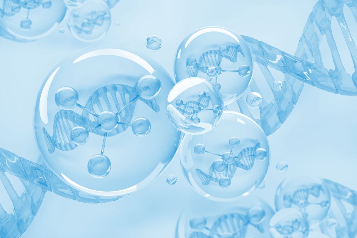 Budowa komórki: biologia, funkcje organelli i typy komórek